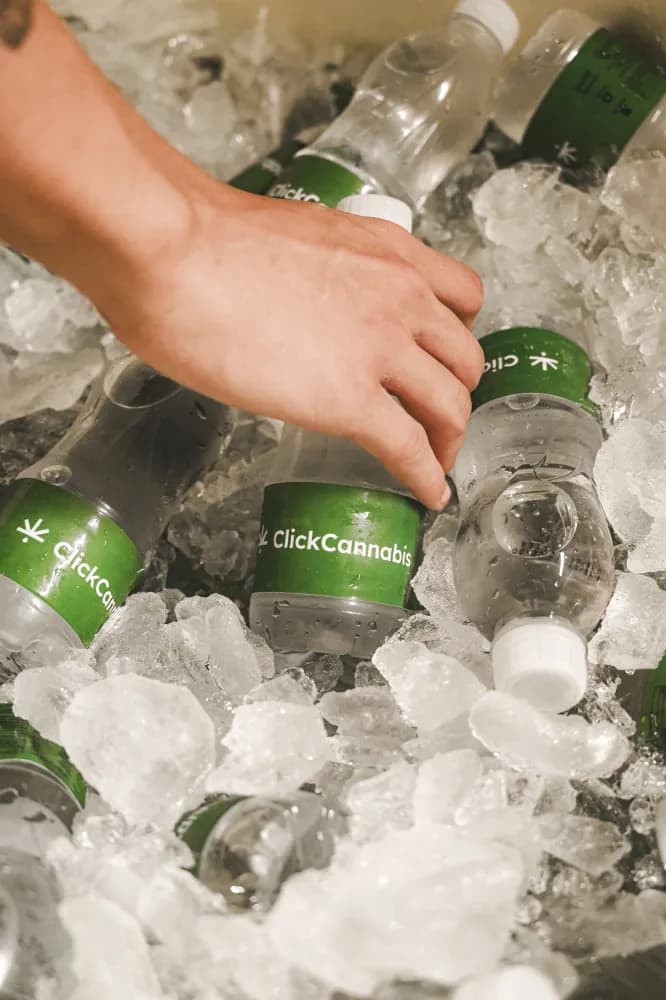 Album do Água personalizada Click Cannabis refrescando os foliões